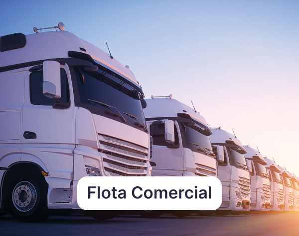 Flota comercial