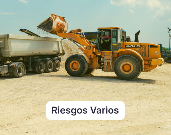 riesgos varios
